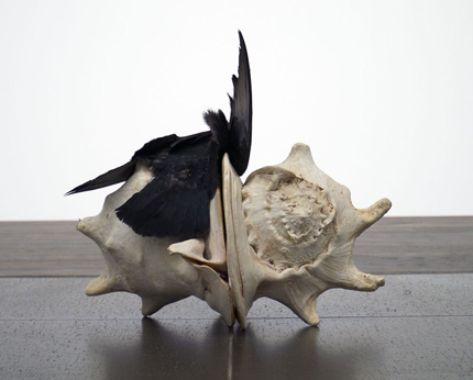 Michael E. Smith, Dave, helmet shells and pigeon, exhibition view Ludwig Forum Aachen