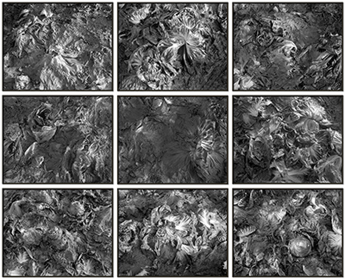 ks7u_LukasHoffmann170x200cmfrNewsletter_1