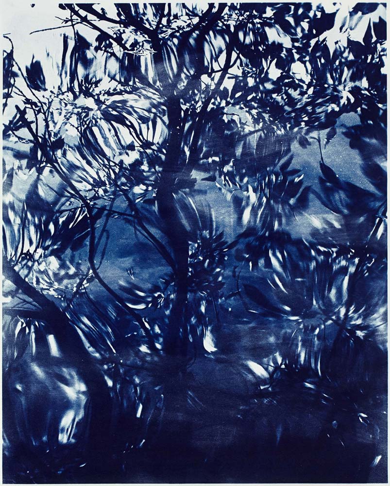 Ulf Saupe, Waterscape Nr. 7, 2013, Cyanotypie auf Aquarellpapier, 95 x 76 cm
