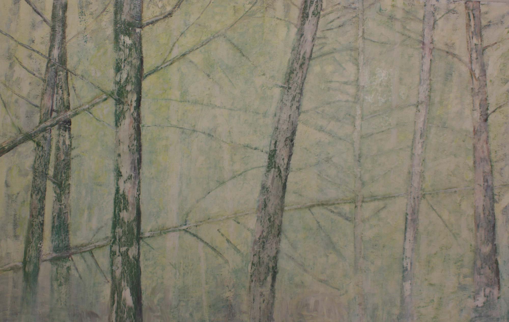 Bernd Beierlein Kiefernbruch, 2015 Öl auf Leinwand 165 x 215 cm © Bernd Beierlein