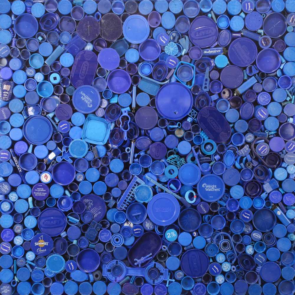 Blue ® Shelia Rogers, www.lumas.com