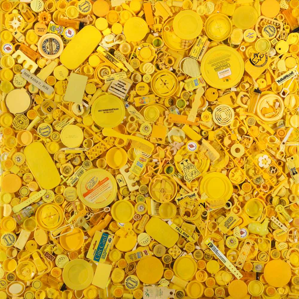 Yellow ® Shelia Rogers, www.lumas.com