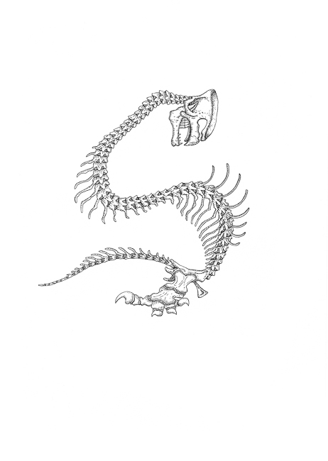 Warenkorb