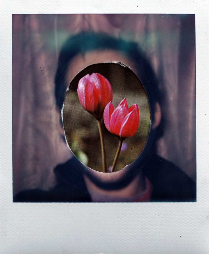 Instant Art, Christopher Manning 15