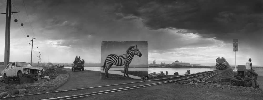 Nick Brandt Inherit the Dust ROAD TO FACTORY WITH ZEBRA