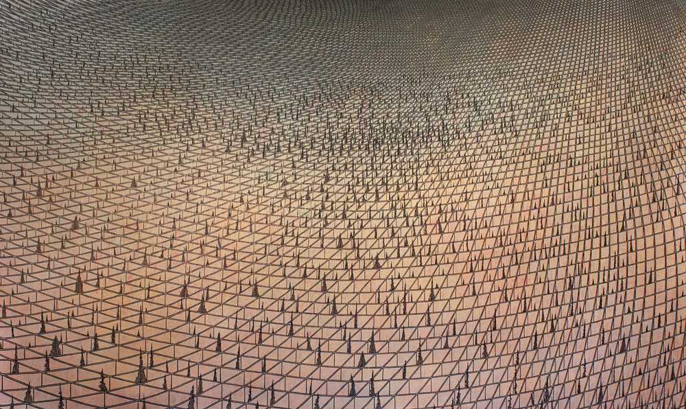 Waldkolonie, Chinesische Tusche und Acryl auf Leinwand, 150 cm x 250 cm (2013)