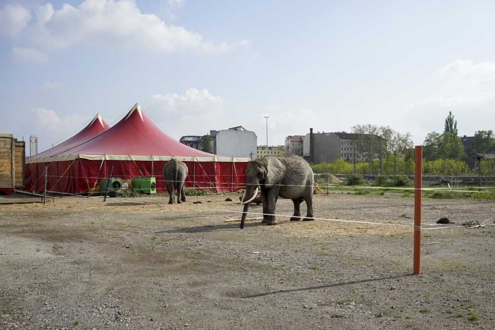 Wolf Jobst Siedler, Heidestraße, 2010-2015, Heidestraße - Vom Niemandsland zur Europacity, HAUS am KLEISTPARK