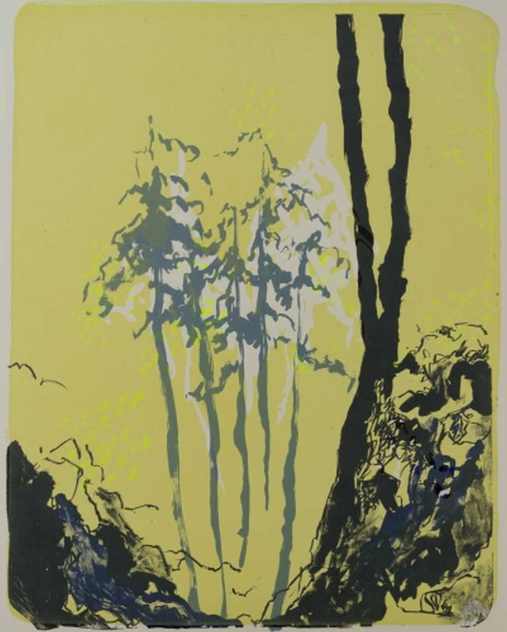 foris, Katharina Albers-Wald, Farblithographie Unikat, 50x40 cm, galerie burster 1