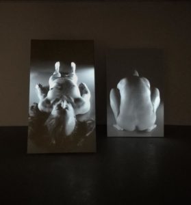 Katja Bjørn New Human, 2019 © Katja Bjørn 
