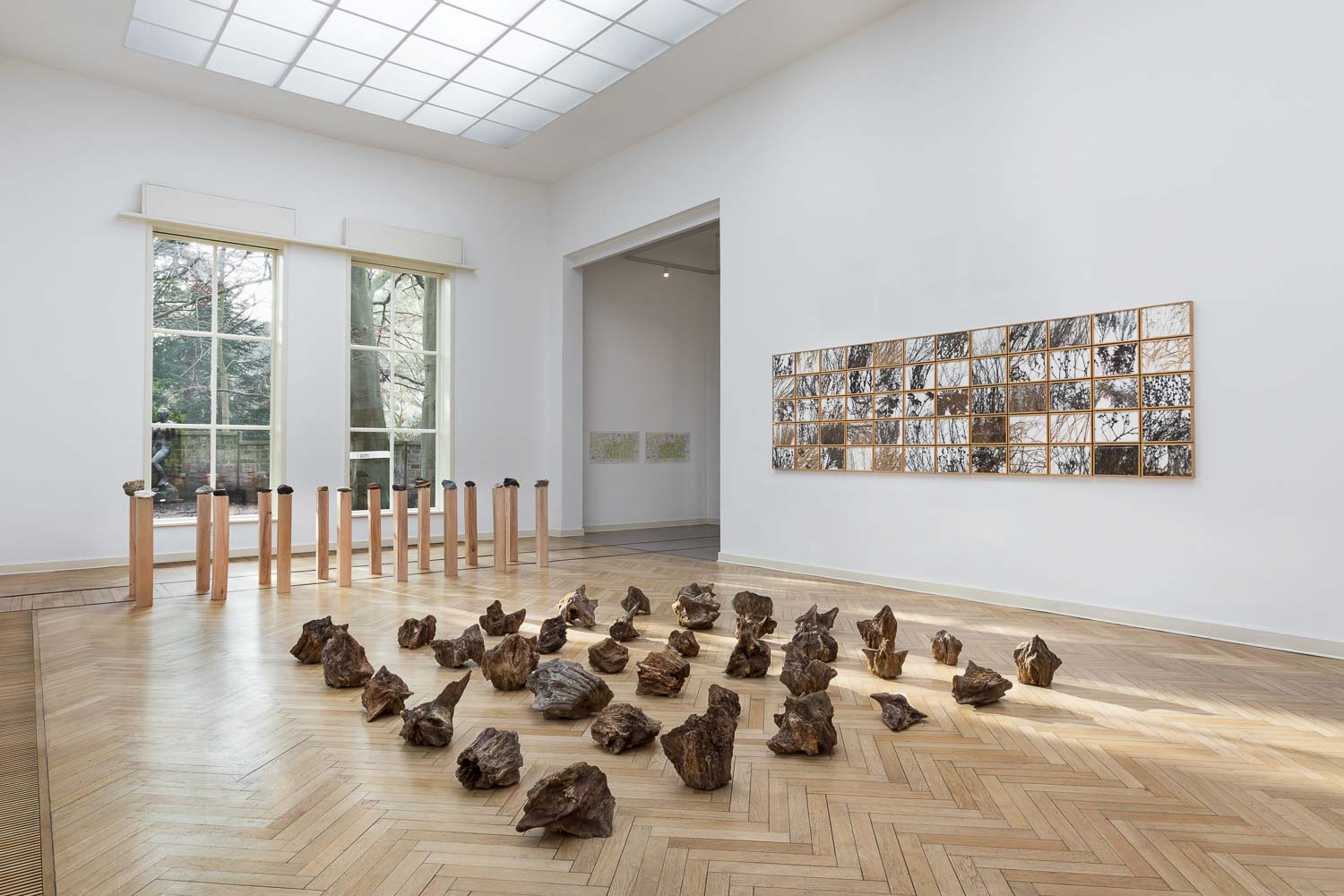 Herman de Vries, herman de vries, how green is the grass, Georg Kolbe Museum