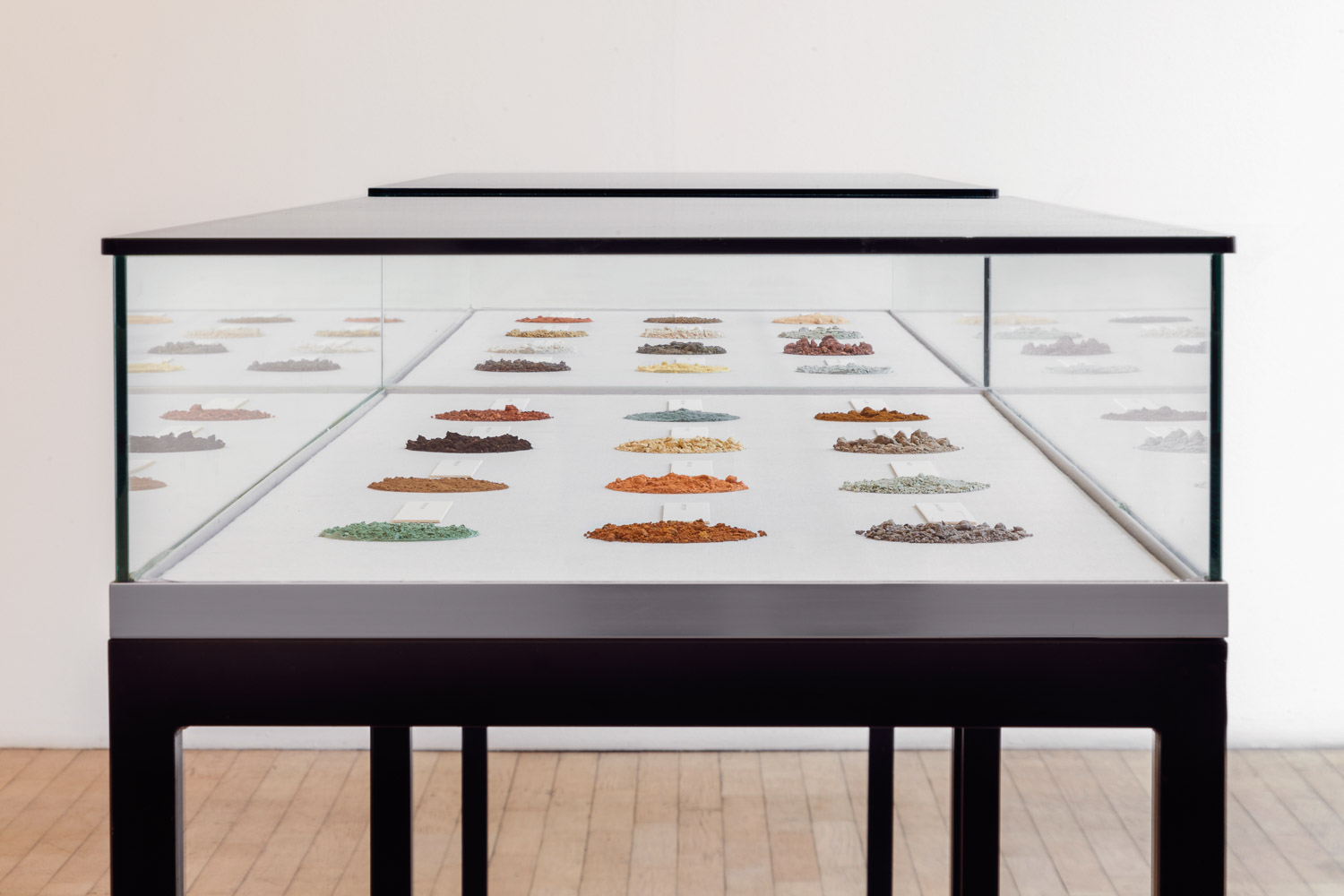 Herman de Vries, herman de vries, how green is the grass, Georg Kolbe Museum