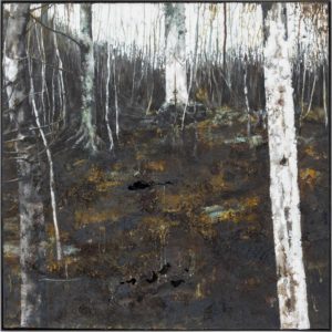 Jens Rausch - Experimentierfeld - mianki.gallery
