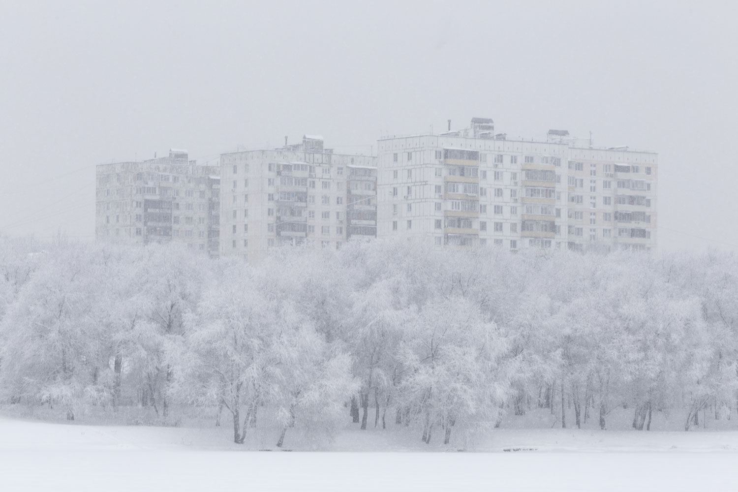 Dmitry Pechurin, Russia, 2019
