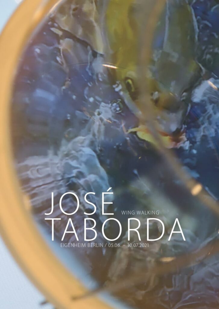 JOSÉ TABORDA – wing walking
