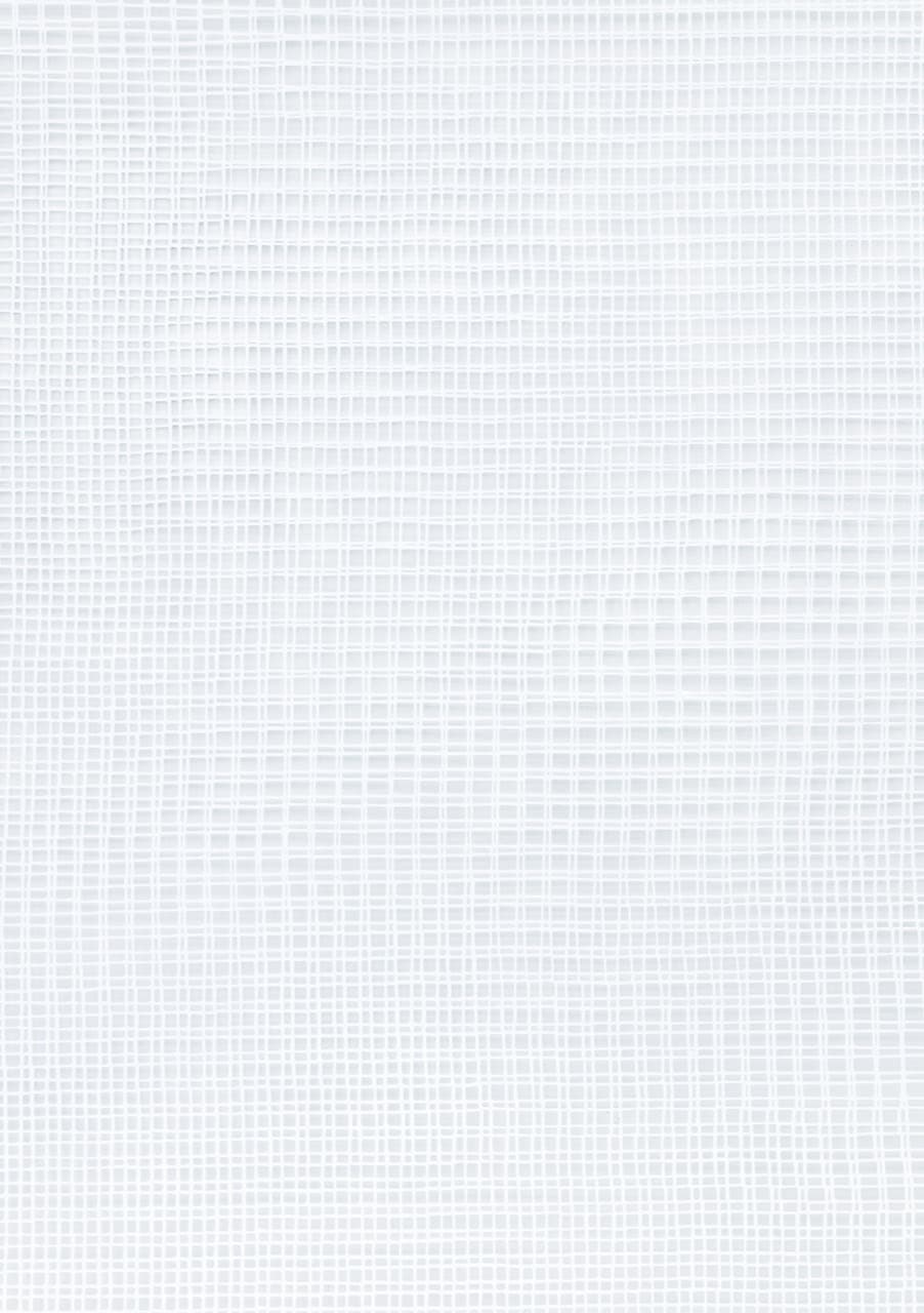Fiene Scharp, ohne Titel (Detail), 2021, Papierschnitt, 100 x 100 cm