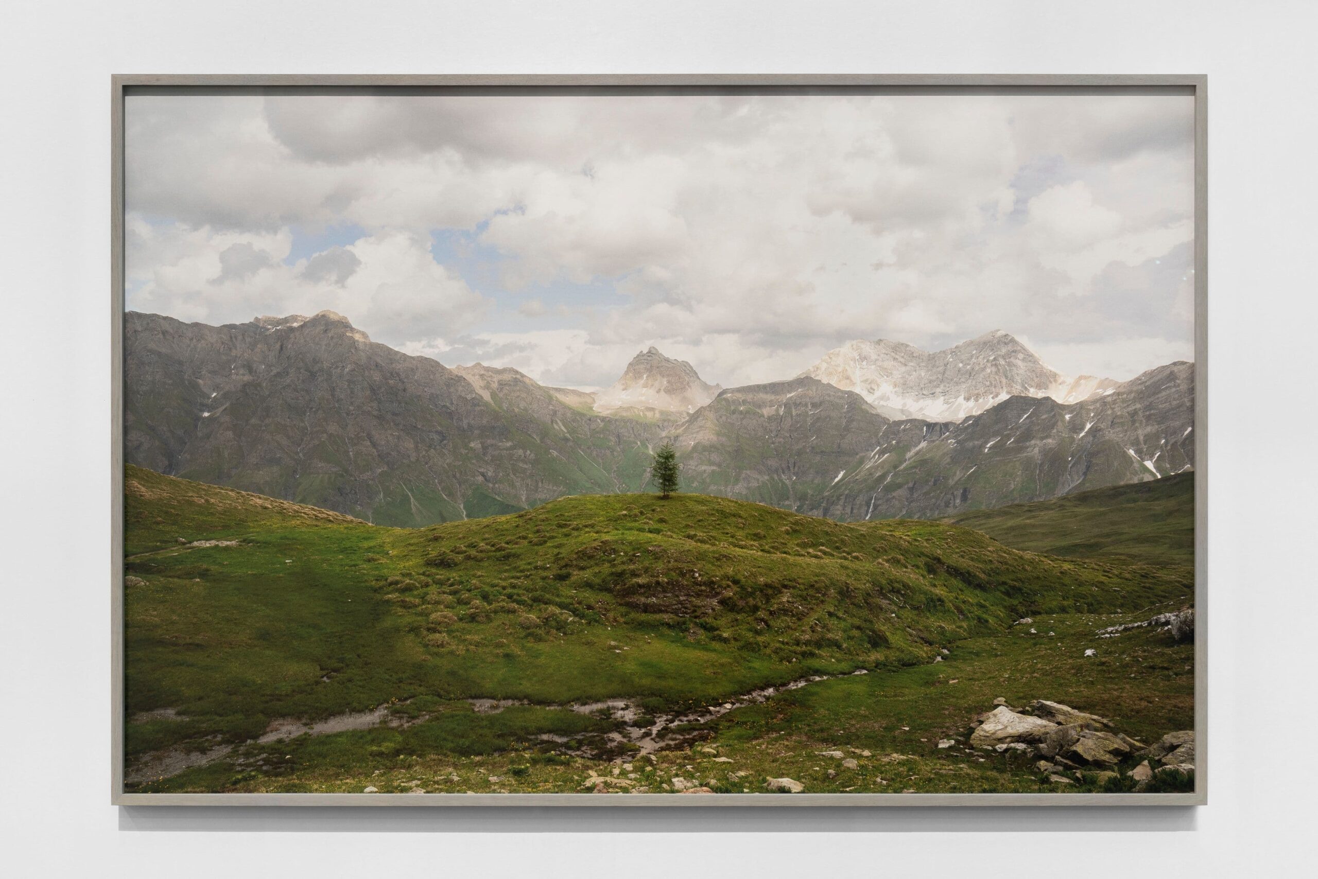 Julius von BismarckBäume ohne Grenzen (Sommer 2022) I Trees Without Borders (Summer 2022), 2022; Archival pigment print on Photo Rag Baryta 150 x 226 cm