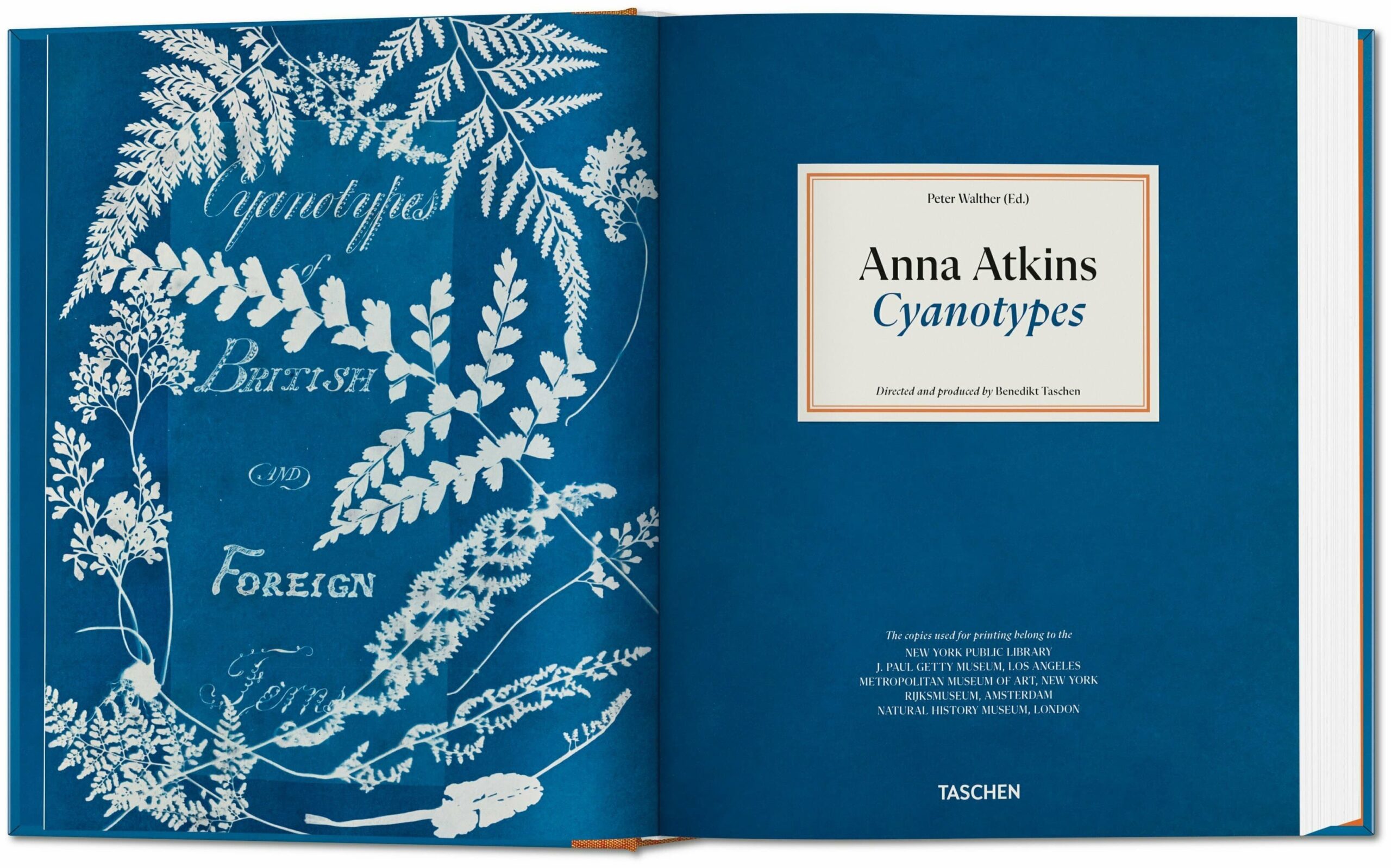 Anna Atkins. Cyanotypes. Die Pionierin der Fotografie im 19. Jahrhundert