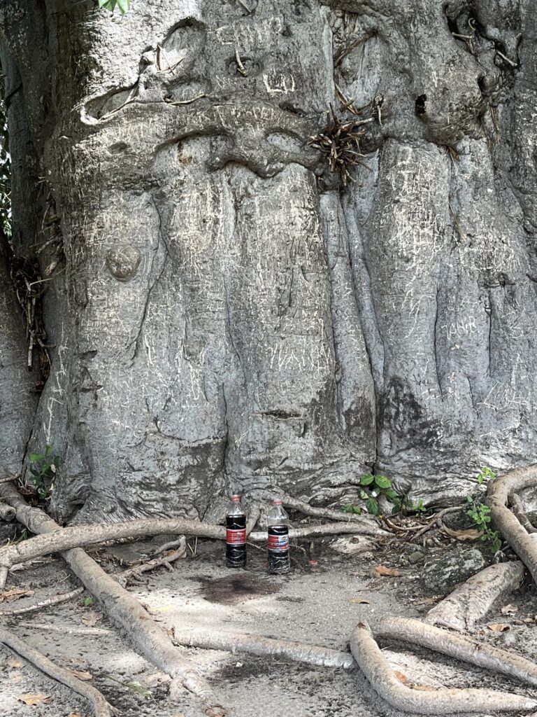 Am Baum des Lebens: Mythos vom Anfang