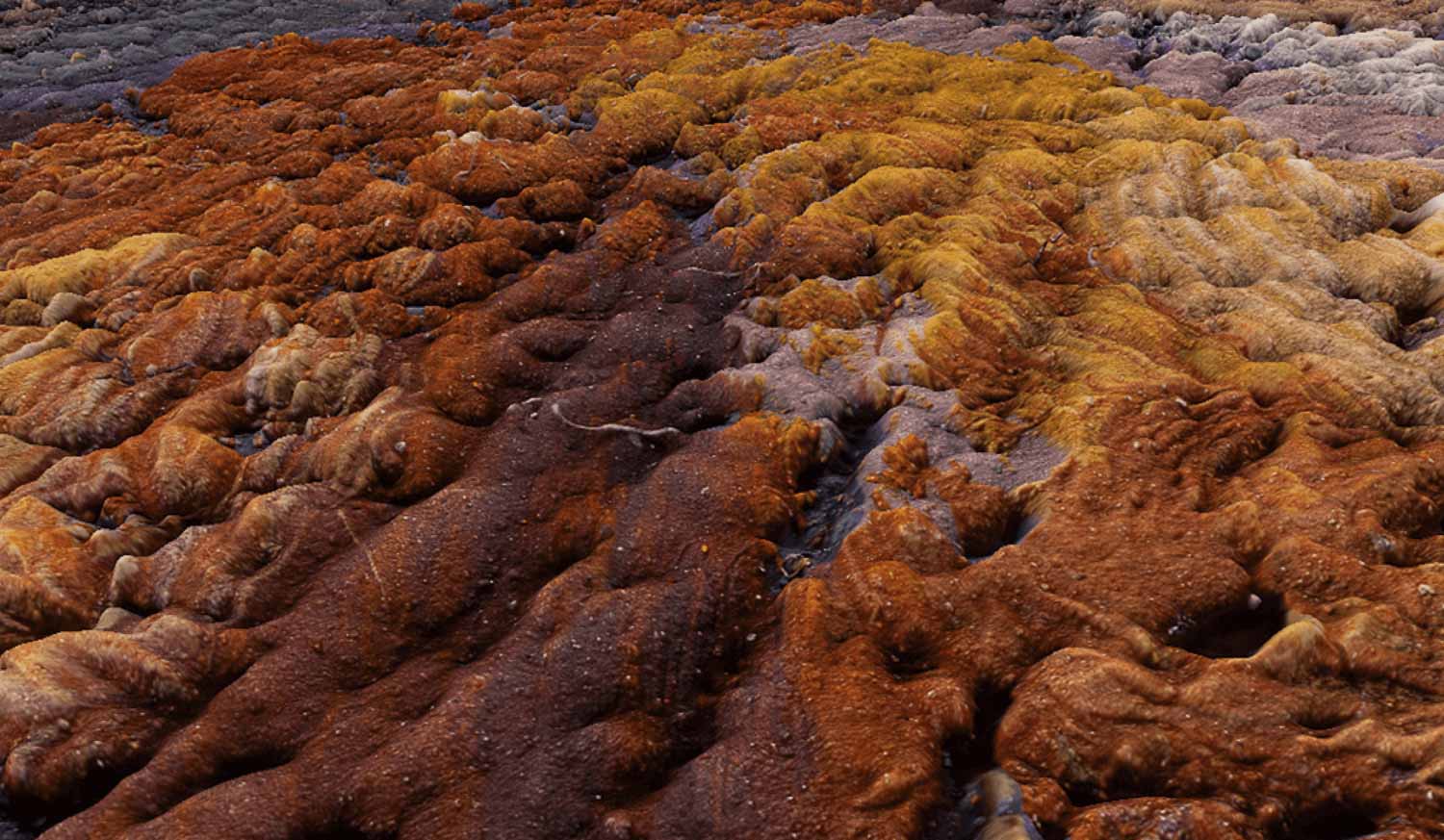 Asisi Panorama DIE KATHEDRALE VON MONET - Kunstleben Berlin