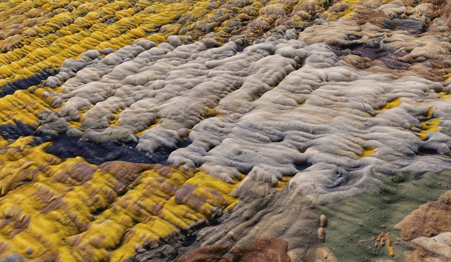 Mushukdagi jum onlayn kompilyatsiya Yumshoq blondalar bilan jinsiy aloqa