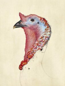 Svenja Schüffler: Serie Sacrifice – What is worth more, art or life?