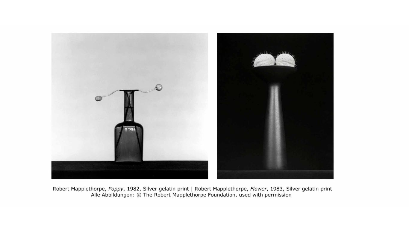 Robert Mapplethorpe: Behold the Lowly Vessel