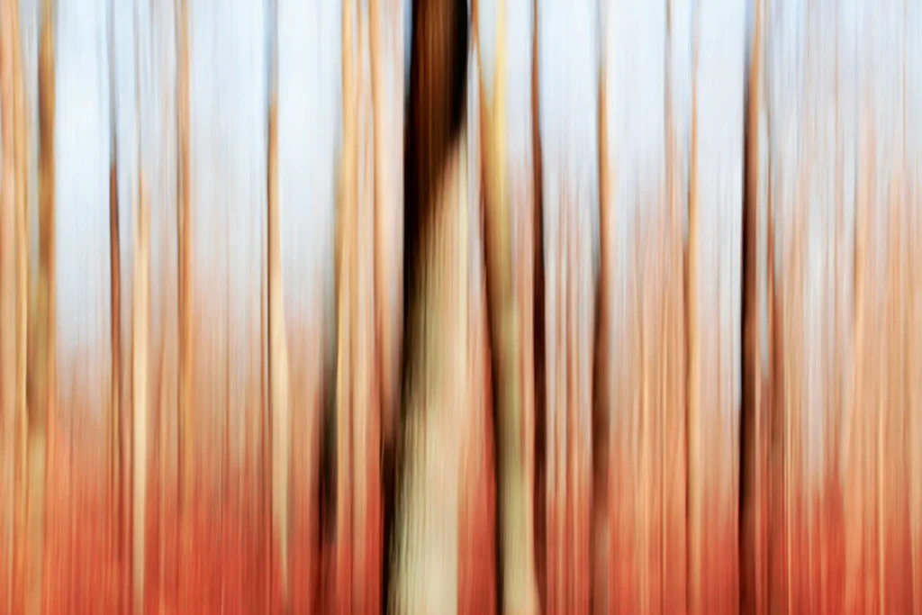 Dieter Matthes: METAMORPHOSEN DER WIRKLICHKEIT