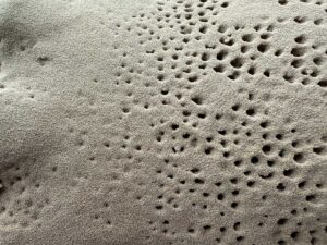 Jeewi Lee - Field of Fragments