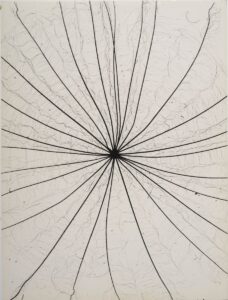 Kilian Breier, Ohne Titel (Pflanze), 1953, © Nachlass Kilian Breier, Hamburg/VG Bild-Kunst, Bonn