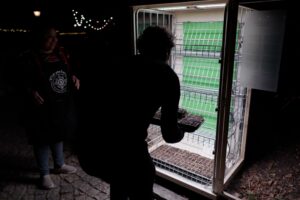 The Vegetable Parliament: Wenn Pflanzen Politik machen