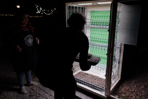The Vegetable Parliament: Wenn Pflanzen Politik machen