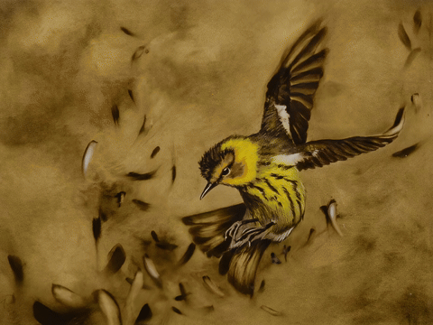 PURE ROMY - Sommerfest bei Köppe Contemporary