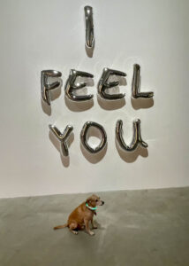 Kunstleben Berlin Kolumne Vernissage Hoppers