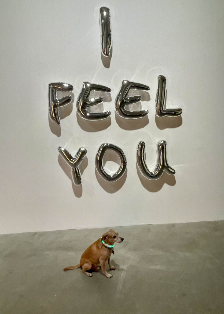 Kunstleben Berlin Kolumne Vernissage Hoppers