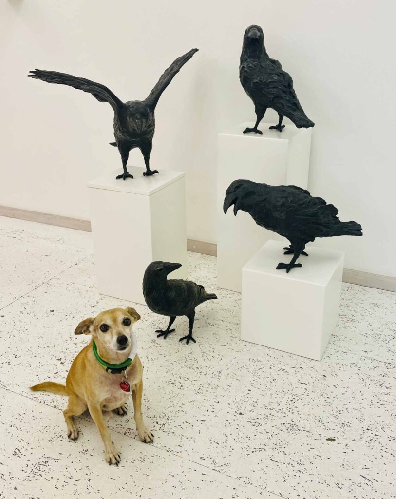 Kunstleben Berlin Kolumne Vernissage Hopper