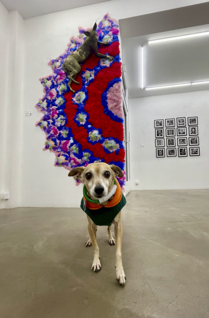 Kunstleben Berlin Kolumne Vernissage Hoppers