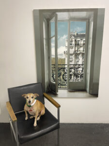 Kunstleben Berlin Kolumne Vernissage Hoppers