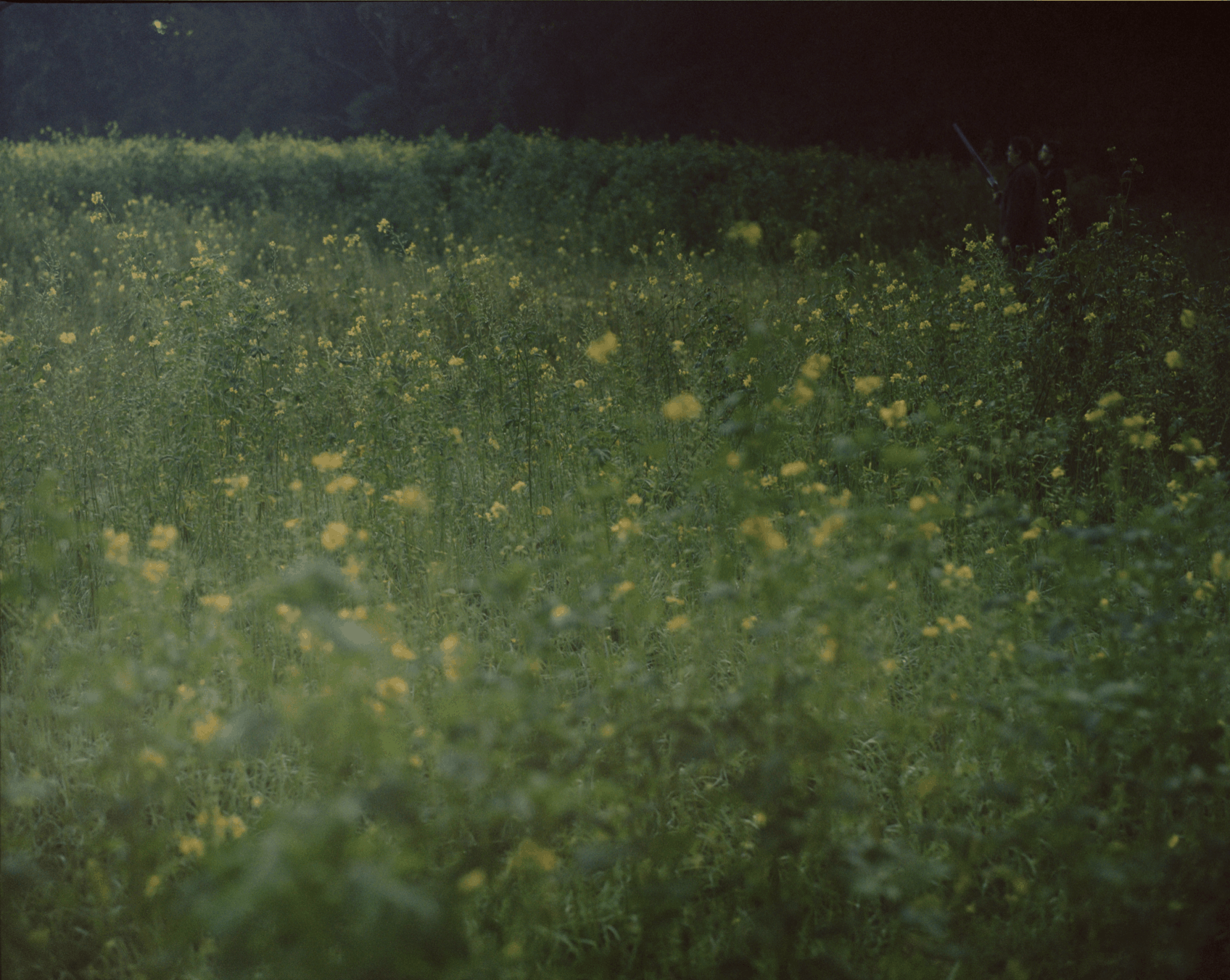 Martina Hoogland Ivanow - Shadow Works, Living the Dream