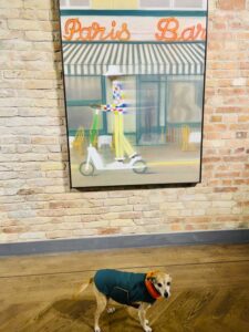 König Telegraphenamt, „NACHTSCHWÄRMEN“, 28.11.25-17.01.26