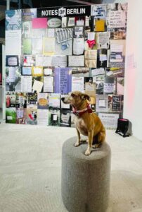 Kunstleben Berlin Kolumne - Vernissage Hoppers