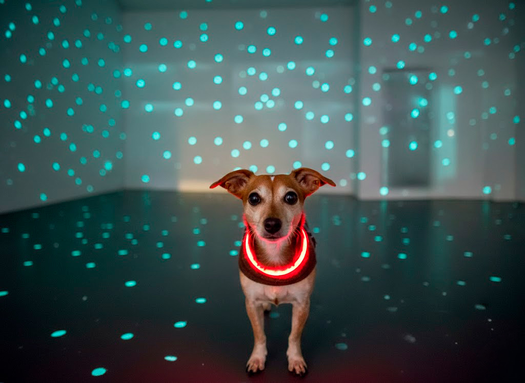 Vernissage Hoppers zu Besuch bei Brotfabrik Galerie: Joachim Seifert & Marten Schech, Blind Date.