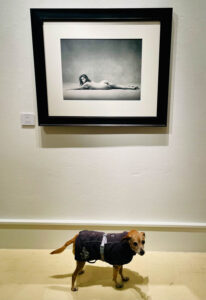 Vernissage Hoppers zu Besuch bei Camera Work Gallery: Patrick Demarchelier, "Cindy Crawford