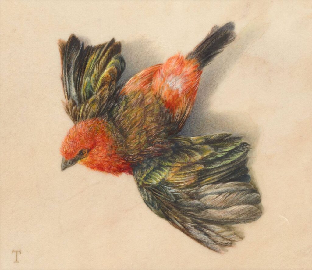 Neue Arbeiten von Michael Triegel in der Galerie Schwind Berlin, Fokus auf Pergament-Arbeiten.