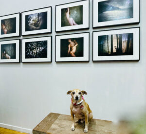 Vernissage Hoppers KW 12 zu Besuch bei Galerie Buchkunst Berlin: Flowing