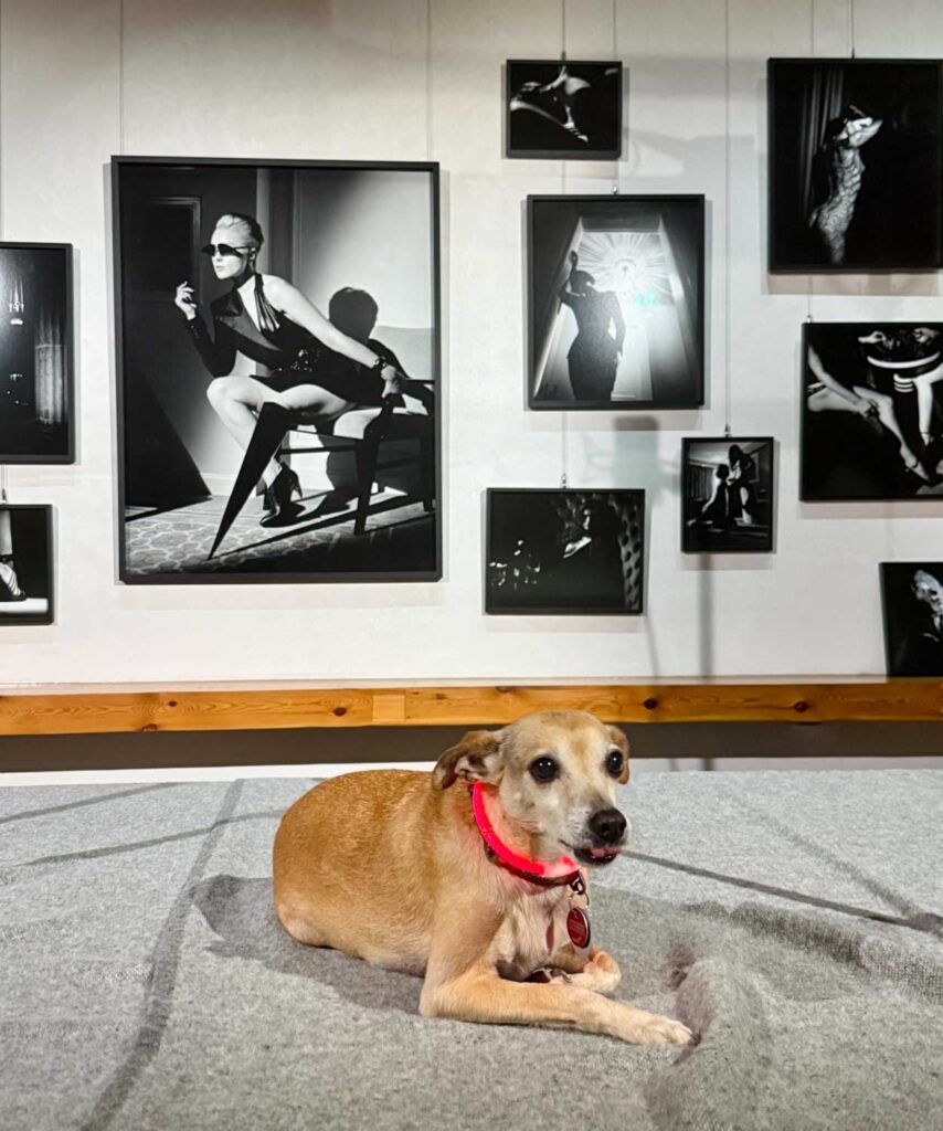 Vernissage Hoppers zu Besuch bei Chaussee 36: Hotel Noir II