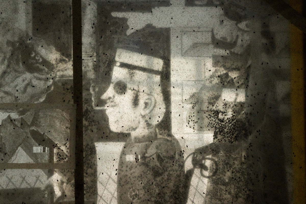 Vernissage Hoppers KW 17 zu Besuch bei Sexauer: Maximilian Prüfer Ein Bild findet Gnade