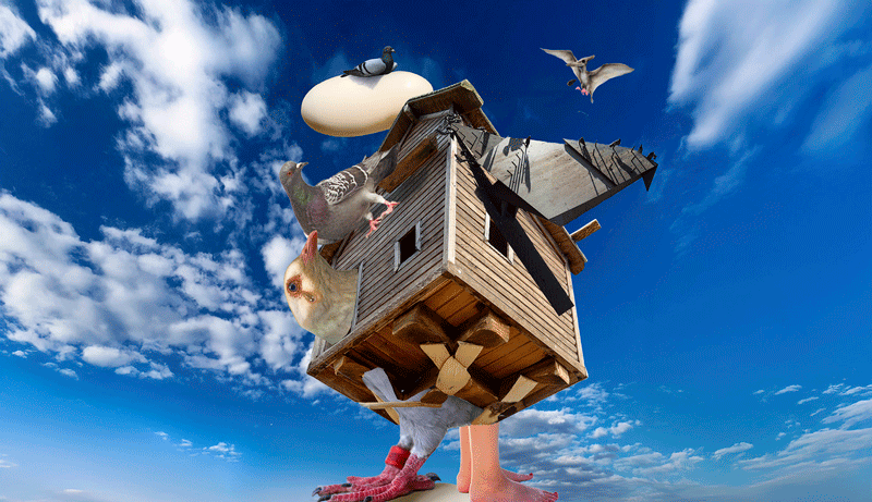 Vernissage Hoppers zu Besuch bei Meinblau Projektraum: Pigeon Paradox