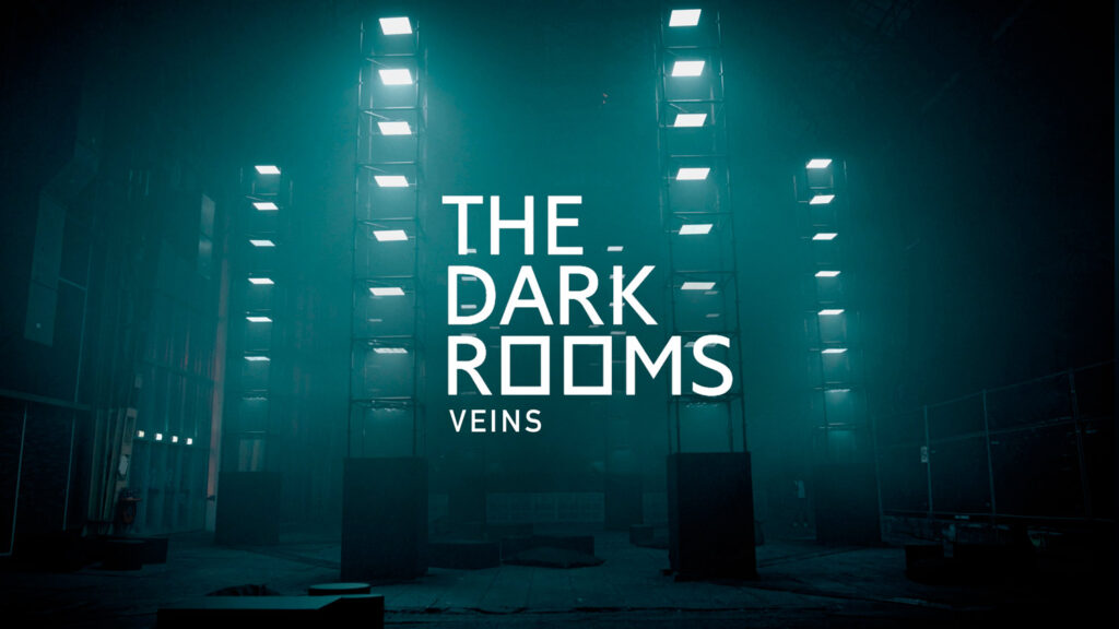 THE DARK ROOMS VEINS