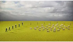 Vernissage Hoppers zu Besuch bei BBA Gallery: Thomas Whitworth, „Sheep Problem", BBA Photography Prize 2026