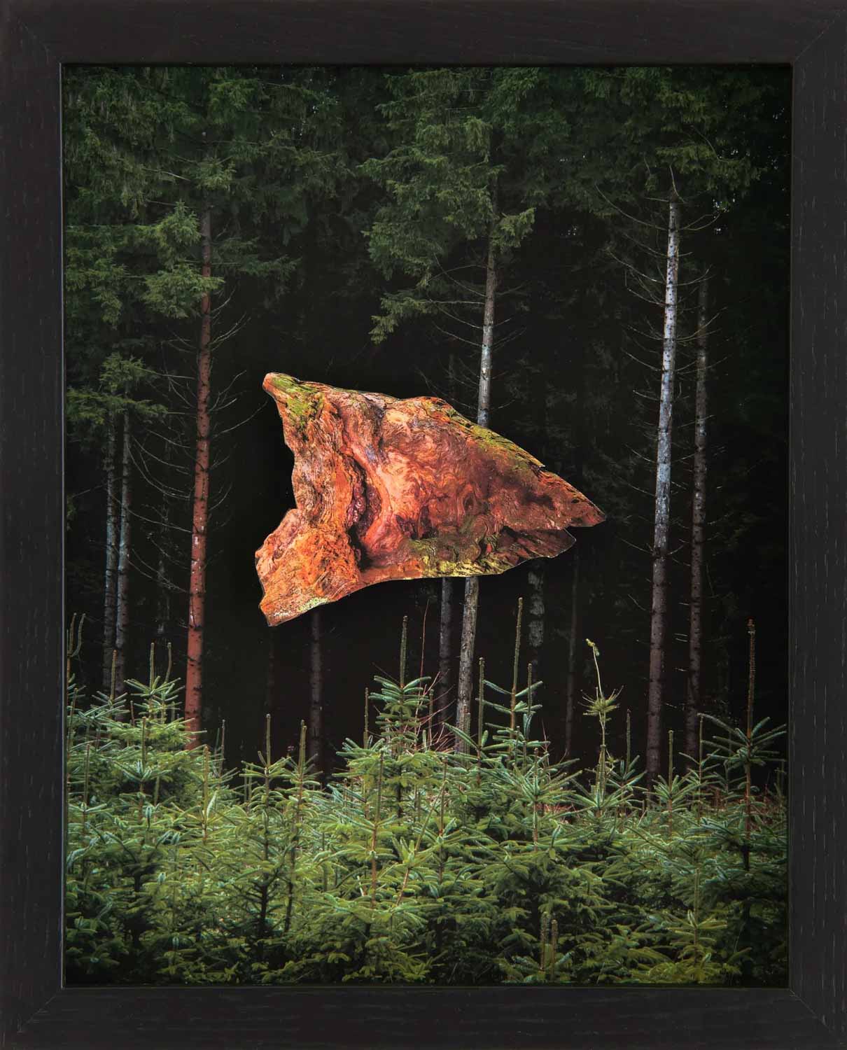 Vernissage Hoppers zu Besuch bei Haus#1: f3-Masterclass, „Von Palästen, Fabelwesen und anderen Begegnungen"